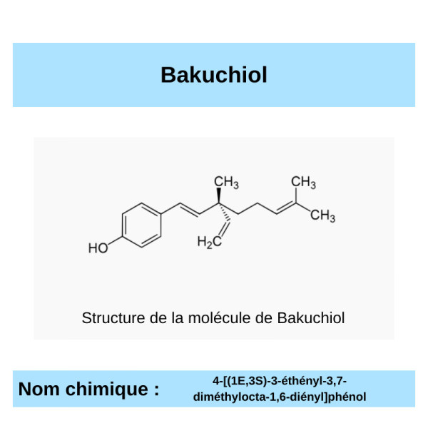 B Comme Bakuchiol - French Filler Beauty